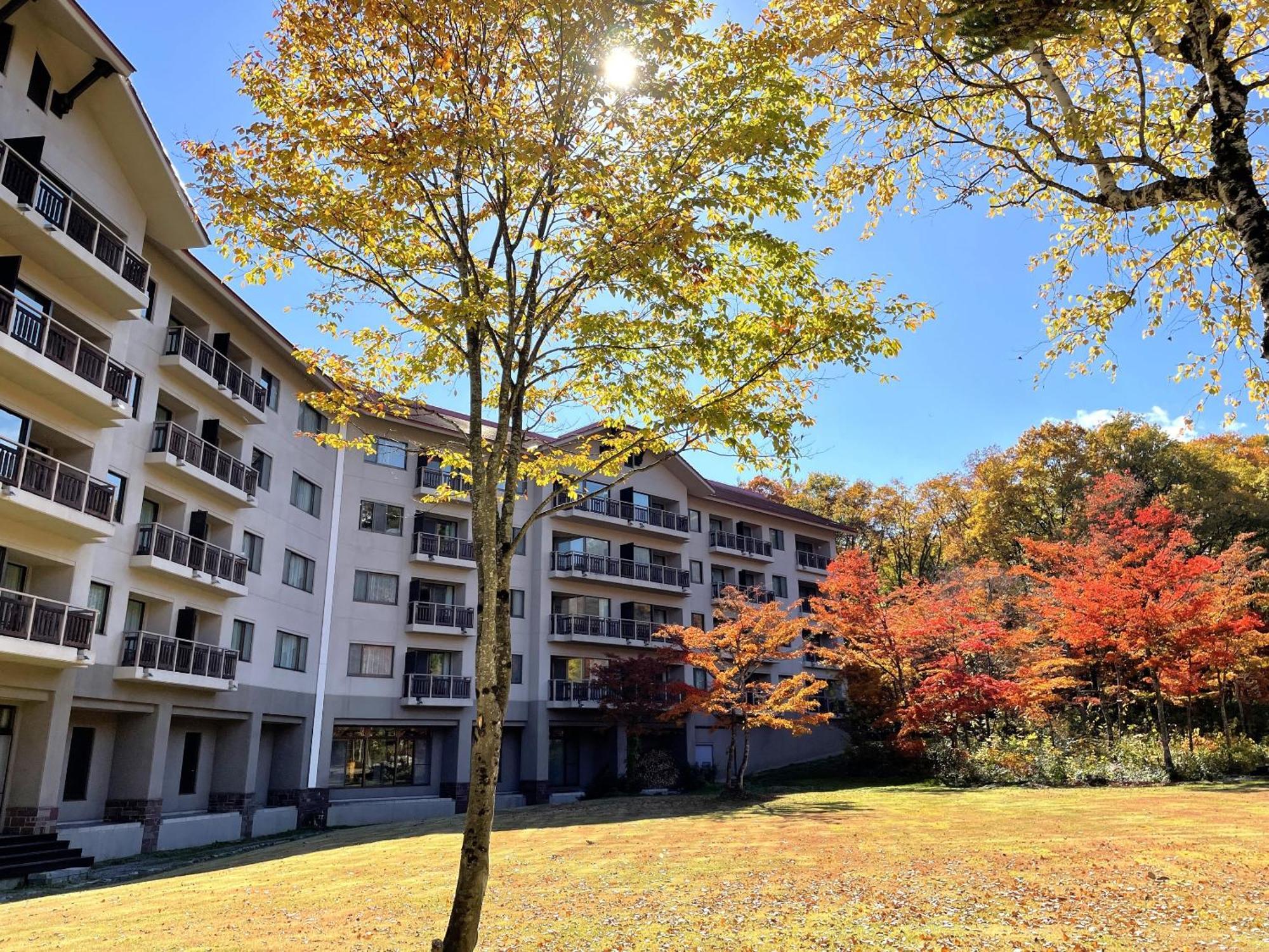 Hakuba Tokyu Hotel Nagano Eksteriør billede